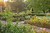 GLYNDEBOURNE, EAST SUSSEX: THE ROSE GARDEN IN EARLY MORNING LIGHT. TOPIARY, PATHS, ROSES, ENGLISH, COUNTRY, GARDEN
