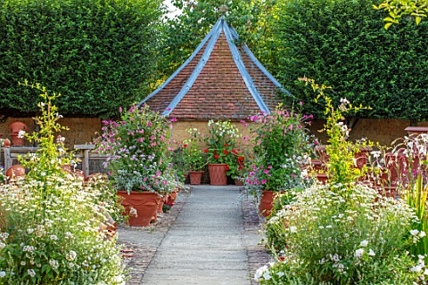 WHICHFORD_POTTERY_OXFORDSHIRE_PATH_WITH_CONTAINER_PLANTINGS_IN_TERRACOTTA_CONTAINERS_AUGUST