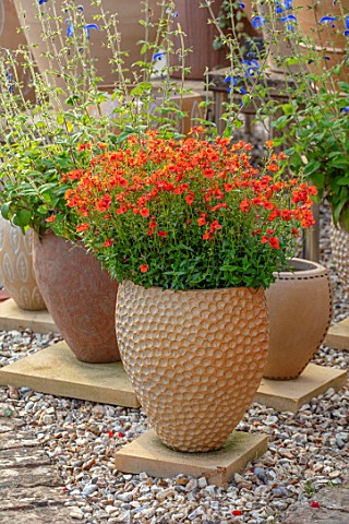 WHICHFORD_POTTERY_OXFORDSHIRE_TERRACOTTA_CONTAINERS_IN_THE_NURSERY