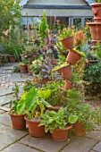 WHICHFORD POTTERY, OXFORDSHIRE: CONTAINERS ON PATIO, TERRACE, COURTYARD, PLANTED WITH SUCCULENTS