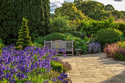 PRIVATE_GARDEN_GLOUCESTERSHIRE__DESIGNER_ANGEL_COLLINS_TERRACE_WITH_AGAPANTHUS_NAVY_BLUE_WOODEN_BENC
