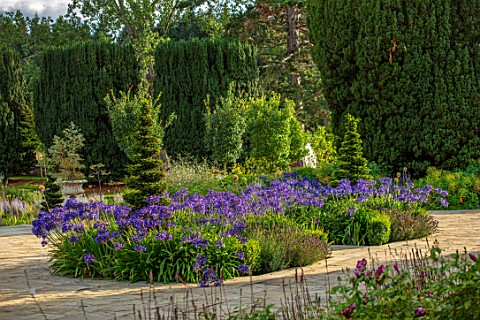 PRIVATE_GARDEN_GLOUCESTERSHIRE__DESIGNER_ANGEL_COLLINS_TERRACE_WITH_AGAPANTHUS_NAVY_BLUE_AUGUST