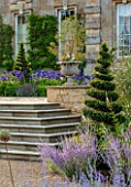 PRIVATE GARDEN, GLOUCESTERSHIRE - DESIGNER ANGEL COLLINS: STEPS AND TERRACE WITH AGAPANTHUS NAVY BLUE, AUGUST