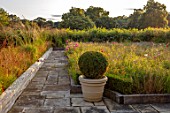 PRIVATE GARDEN, GLOUCESTERSHIRE - DESIGNER ANGEL COLLINS: ROOF TERRACE WITH WILDFLOWERS, TERRACOTTA CONTAINER WITH BOX BALL, PATIO, TERRACES, AUGUST