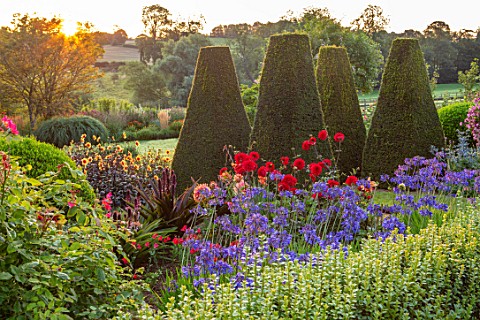 PETTIFERS_OXFORDSHIRE_DESIGNER_GINA_PRICE_THE_PARTERRE_IN_AUGUST__DAHLIA_MURDOCH_AND_AGAPANTHUS_HEAD