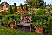 PETTIFERS, OXFORDSHIRE, DESIGNER GINA PRICE: THE PARTERRE IN AUGUST - WOODEN SEAT, BENCH, DAHLIAS INCLUDING JESCOATE JULIE AND MOONSHINE, MORNING, LIGHT, SUNRISE, YEW