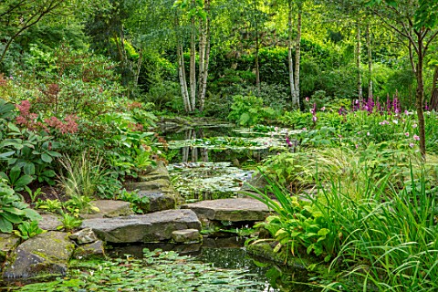 MORTON_HALL_WORCESTERSHIRE_THE_STROLL_GARDEN_IN_AUGUST_STEPPPING_STONES_WATER_POOL_POND_WATER_LILIES