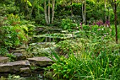 MORTON HALL, WORCESTERSHIRE: THE STROLL GARDEN IN AUGUST, STEPPPING STONES, WATER, POOL, POND, WATER LILIES, BIRCHES