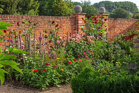 ULTING_WICK_ESSEX_BORDER_BESIDE_WALL__DAHLIA_PREFERENCE_AND_SUNFLOWER__HELIANTHUS_VELVET_QUEEN