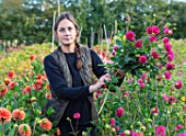 GREEN AND GORGEOUS FLOWERS, OXFORDSHIRE: LUCIE CUTTING DAHLIAS IN THE CUTTING FIELDS, SEPTEMBER