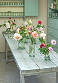 GREEN AND GORGEOUS FLOWERS, OXFORDSHIRE: TABLE ARRANGEMENT IN FLOWER ROOM OF GLASS VASES FOR WEDDING ALONG GREY, BLUE TABLE - DAHLIAS, FALL, AUTUMN, BLOOMING, BULBS