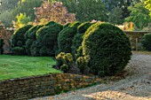 PETRA HOYER MILLAR GARDEN, OXFORDSHIRE: CASTLE END HOUSE - FRONT GARDEN, DRIVE, YEW HEDGING, HEDGES, CLOUD PRUNED TOPIARY, CLIPPED, TAXUS, BOUNDARY, BOUNDARIES