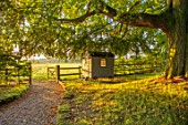 MITTON MANOR, STAFFORDSHIRE: PATH, GATE, TREE, SHEDS, SUMMERHOUSE, OFFICE, LAWN, SUNRISE, COUNTRY, GARDEN, ENGLISH, LAWN