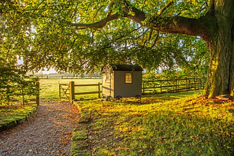 MITTON_MANOR_STAFFORDSHIRE_PATH_GATE_TREE_SHEDS_SUMMERHOUSE_OFFICE_LAWN_SUNRISE_COUNTRY_GARDEN_ENGLI