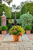MITTON MANOR, STAFFORDSHIRE: TERRACE, TERRACOTTA CONTAINER WITH HYDRANGEA, HORNBEAM AVENUE, CLIPPED, TOPIARY, SEPTEMBER, FORMAL, ENGLISH, COUNTRY GARDEN