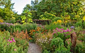 THE PICTON GARDEN AND OLD COURT NURSERIES, WORCESTERSHIRE: BORDERS OF ASTERS, AGASTACHE AURANTIACA NAVAJO SUNSET, RUDBECKIA HIRTA SEEDLING, SEPTEMBER, FALL