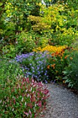 THE PICTON GARDEN AND OLD COURT NURSERIES, WORCESTERSHIRE: BORDERS, PERSICARIA AFFINIS DONALD LOWNDES, ASTER X FRIKARTII MONCH, HELENIUM SAHINS EARLY FLOWERER, RUDBECKIA DEAMII