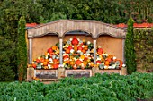 EYTHROPE WALLED GARDEN, BUCKINGHAMSHIRE: PUMPKINS AND SQUASHES IN THE AURICULA THEATRE, OCTOBER, FALL, GARDENS, VEGETABLES, POTAGER, KITCHEN, EDIBLES