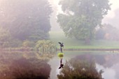 FORDE ABBEY, SOMERSET: MERMAID POND, OCTOBER, DAWN, SUNRISE, WATER, FORMAL, POND, POOL, STATUE OF LEDA SEDUCED BY ZEUS IN THE FORM OF A SWAN, REFLECTIONS, REFLECTED
