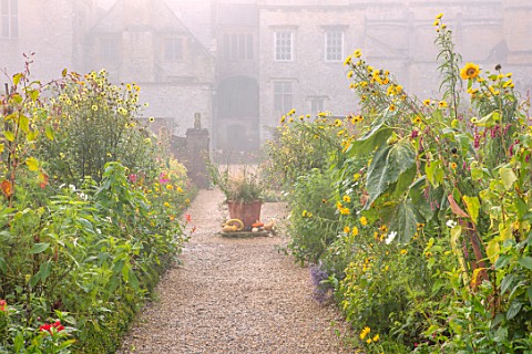 FORDE_ABBEY_SOMERSET_THE_KITCHEN_GARDEN_IN_AUTUMN_FALL_OCTOBER_MIST_FOG_BORDERS_TERRACOTTA_CONTAINER