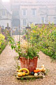 FORDE ABBEY, SOMERSET: THE KITCHEN GARDEN IN AUTUMN, OCTOBER, FALL, MIST, FOG, BORDERS, GOURDS, TERRACOTTA CONTAINER, PATHS