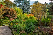 THE PICTON GARDEN AND OLD COURT NURSERIES, WORCESTERSHIRE: KNIPHOFIA ROOPERI IN BORDER, OCTOBER, FALL