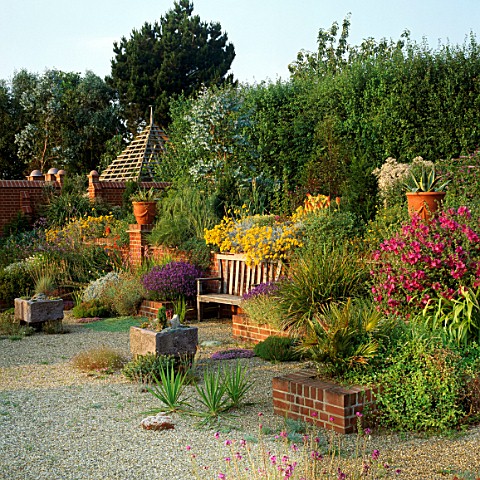 FRAGRANT_BENCH_SURROUNDED_BY_HELICHRYSUM_ITALICUM_AND_LAVENDER_AGAVES_IN_CONTAINERS__THE_OLD_VICARAG