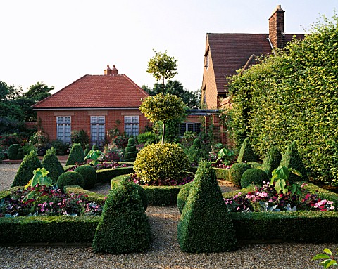 BUXUS_SEMPERVIRENS_FORM_TOPIARY_KNOT_GARDEN__BALL_OF_ILEX_X_ALTACLERENSIS_GOLDEN_KINGTHE_OLD_VICARAG