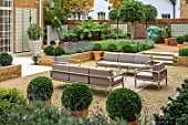DESIGNER ANTHONY PAUL: SMALL, TOWN, FORMAL, GARDEN, SEATING, CLIPPED, TOPIARY, BOX, BALLS, SCULPTURE, TREE FERN, DICKSONIA ANTARCTICA, GRAVEL, LONDON