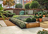 DESIGNER ANTHONY PAUL: SMALL, TOWN, FORMAL, GARDEN, CLIPPED, TOPIARY, BOX, BALLS, SCULPTURE, GRAVEL, STEPS, WATER FEATURE, ELEAGNUS, LAVENDER, LONDON