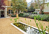 DESIGNER ANTHONY PAUL: SMALL, TOWN, FORMAL, GRAVEL, WATER FEATURE, POOL, POND, CANAL, LONDON
