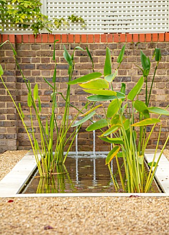 DESIGNER_ANTHONY_PAUL_SMALL_TOWN_FORMAL_GRAVEL_WATER_FEATURE_POOL_POND_CANAL_LONDON_WALL_TRELLIS