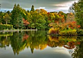 THORP PERROW ARBORETUM, YORKSHIRE: FALL, TREES ACROSS THE LAKE IN AUTUMN. LAKES, WATER, EVENING LIGHT, REFLECTIONS, REFLECTED