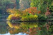 THORP PERROW ARBORETUM, YORKSHIRE: AUTUMN COLOUR ACROSS THE LAKE IN AUTUMN. TREES, LAKES, WATER, EVENING LIGHT, REFLECTIONS, REFLECTED