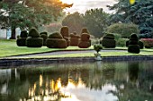 THORP PERROW ARBORETUM, YORKSHIRE: CLIPPED TOPIARY YEW ACROSS THE LAKE IN AUTUMN. TREES, LAKES, WATER, MORNING LIGHT, REFLECTIONS, REFLECTED