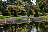THORP PERROW ARBORETUM, YORKSHIRE: CLIPPED TOPIARY YEW ACROSS THE LAKE IN AUTUMN. TREES, LAKES, WATER, REFLECTIONS, REFLECTED