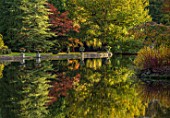 THORP PERROW ARBORETUM, YORKSHIRE: THE LAKE IN AUTUMN. TREES, LAKES, WATER, EVENING LIGHT, REFLECTIONS, REFLECTED