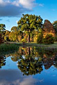 THORP PERROW ARBORETUM, YORKSHIRE: CATHERINE PARRS OAK REFLECTED IN LAKE, WATER, POOL, AUTUMN, FALL, TREES