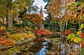 MORTON HALL, WORCESTERSHIRE: AUTUMN, FALL: STROLL GARDEN, LOWER POND, POOL, WATER, REFLECTED, REFLECTIONS, HAKONECHLOA MACRA, ACER PALMATUM SEIRYU, MAPLES, JAPANESE, BIRCHES