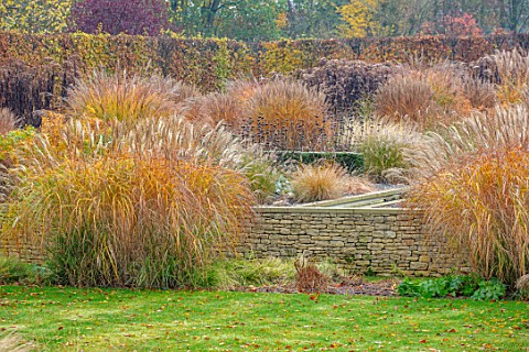 THE_OLD_RECTORY_QUINTON_NORTHAMPTONSHIRE_DESIGNER_ANOUSHKA_FEILER_GRASSES_AUTUMN_FALL_LAWN_WALL_GRAS