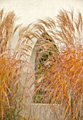 THE OLD RECTORY, QUINTON, NORTHAMPTONSHIRE: DESIGNER ANOUSHKA FEILER: WINDOW IN WALL, MISCANTHUS SINENSIS KLEINE FONTAINE, PATIOS, GRASSES, AUTUMN, FALL