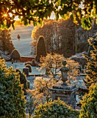 DRUMMOND CASTLE GARDENS, SCOTLAND: LAWN, FROST, FROSTY, CASTLE, CLIPPED, TOPIARY, SHAPES, YEW, GARDENS, SCOTTISH, WINTER, SUNRISE