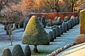 DRUMMOND CASTLE GARDENS, SCOTLAND: LAWN, FROST, FROSTY, CASTLES, CLIPPED, TOPIARY, SHAPES, YEW, GARDENS, SCOTTISH, WINTER, HEDGES, HEDGING, SUNRISE