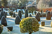 DRUMMOND CASTLE GARDENS, SCOTLAND: LAWN, FROST, FROSTY, CASTLES, CLIPPED, TOPIARY, SHAPES, YEW, GARDENS, SCOTTISH, WINTER, HEDGES, HEDGING, SUNRISE, HOLLIES