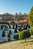 DRUMMOND CASTLE GARDENS, SCOTLAND: LAWN, FROST, FROSTY, CASTLES, CLIPPED, TOPIARY, SHAPES, YEW, GARDENS, SCOTTISH, WINTER, HEDGES, HEDGING, SUNRISE, URN, HOLLIES