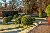 DRUMMOND CASTLE GARDENS, SCOTLAND: LAWN, FROST, FROSTY, CASTLES, CLIPPED, TOPIARY, SHAPES, GARDENS, SCOTTISH, WINTER, HEDGES, HEDGING, SUNRISE, PATH, ARBUTUS