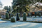 DRUMMOND CASTLE GARDENS, SCOTLAND: LAWN, FROST, FROSTY, CASTLES, CLIPPED, TOPIARY, SHAPES, GARDENS, SCOTTISH, WINTER, HEDGES, HEDGING, SUNRISE, PATH