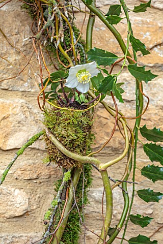 DAYLESFORD_ORGANIC_GLOUCESTERSHIRE_NATURAL_DECORATIONS_CHRISTMAS_HEART_SHAPED_WREATH_IVY_WHITE_FLOWE