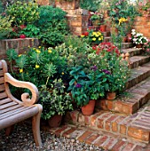 WOODEN BENCH BY FLIGHT OF BRICK STEPS FLANKED BY CONTAINERS OF SUMMER BEDDING PLANTS. DESIGNERS: RICHARD & JO PASSMORE