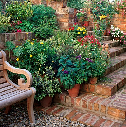 WOODEN_BENCH_BY_FLIGHT_OF_BRICK_STEPS_FLANKED_BY_CONTAINERS_OF_SUMMER_BEDDING_PLANTS_DESIGNERS_RICHA
